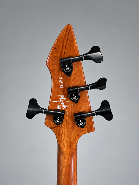 Esh 40 Years Signature Head Back