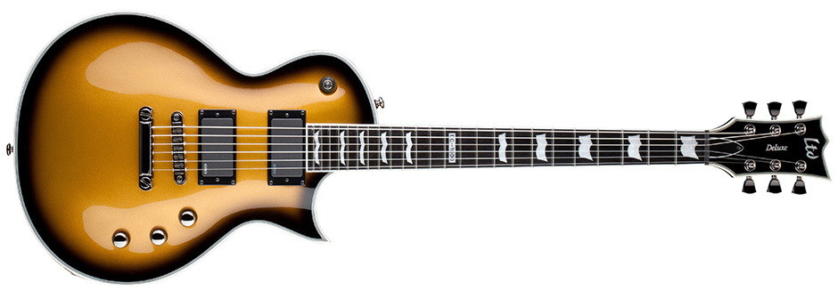 正規品販売！ The ESP Company Guitar 洋楽