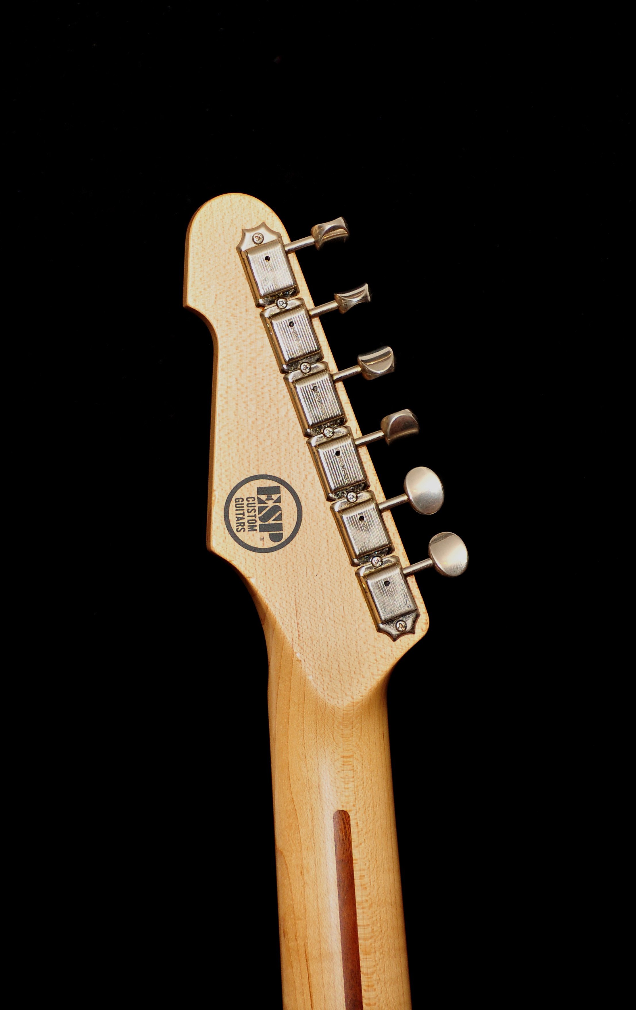 The ESP Guitar Company