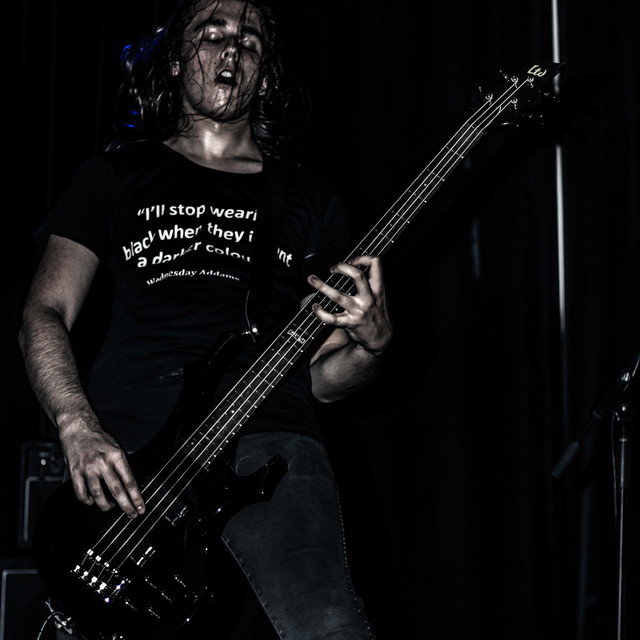 Bass Face