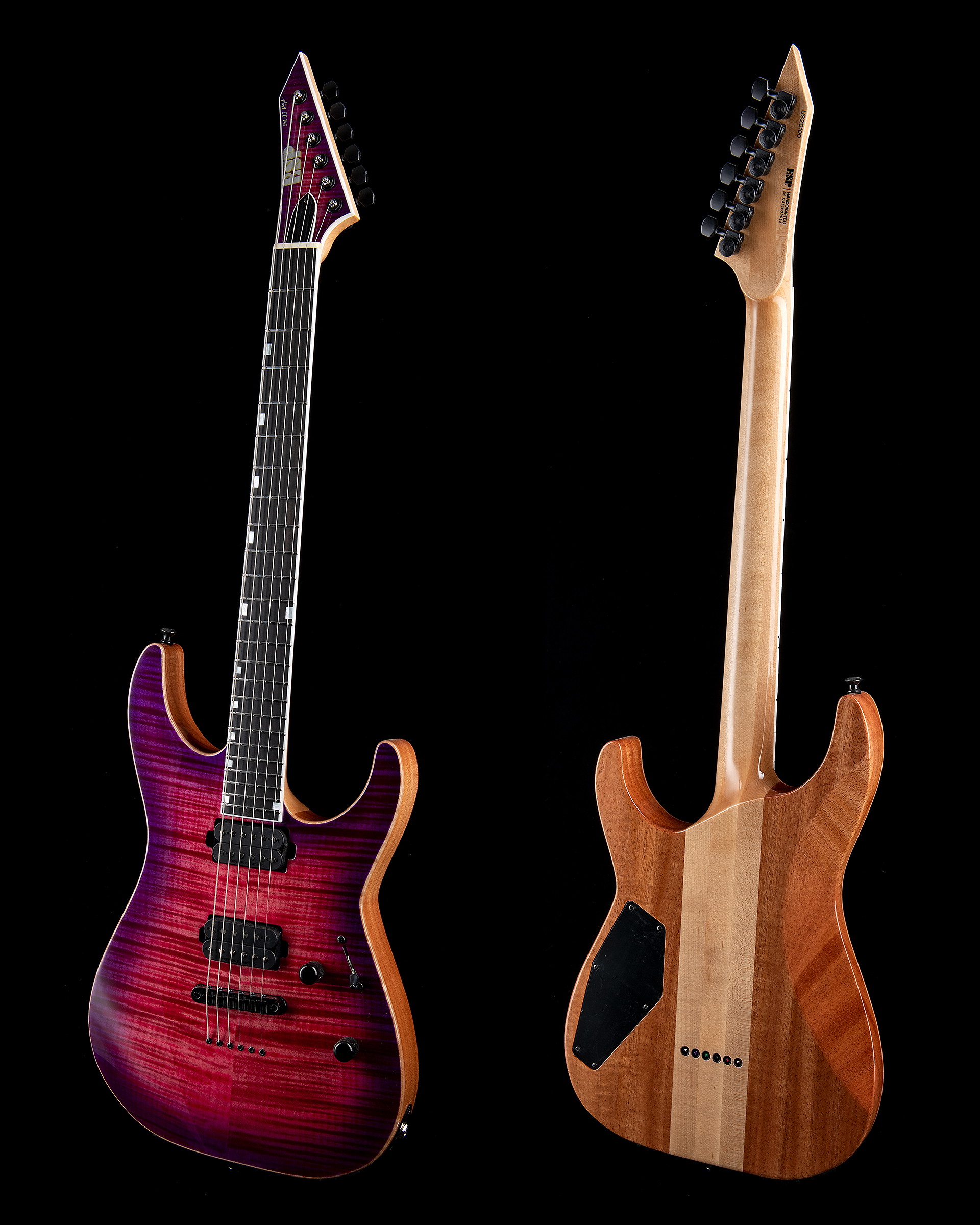 The ESP Guitar Company
