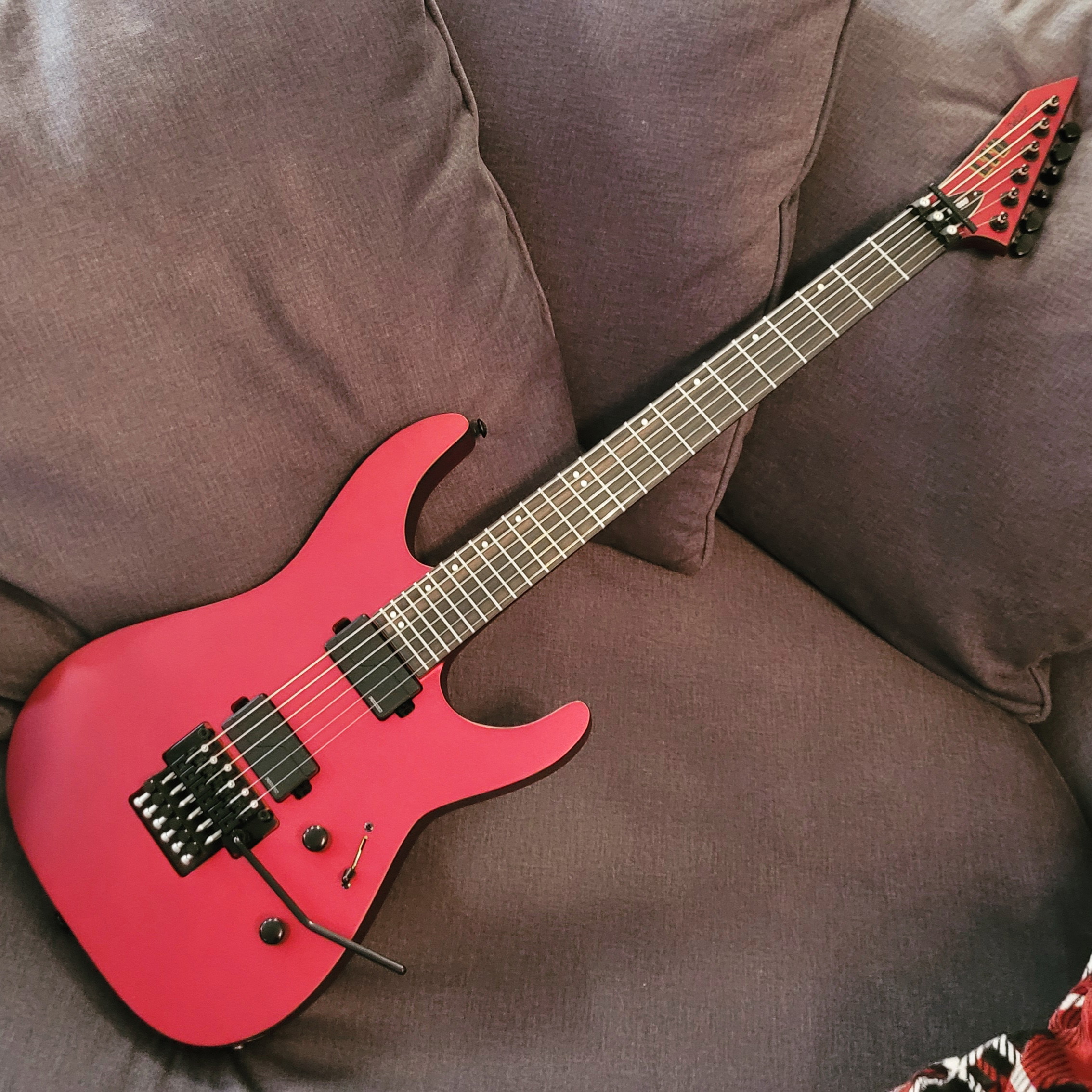 The ESP Guitar Company
