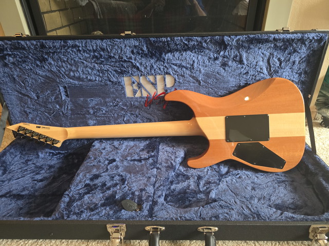 My 2025 ESP USA M-II NT back. 6