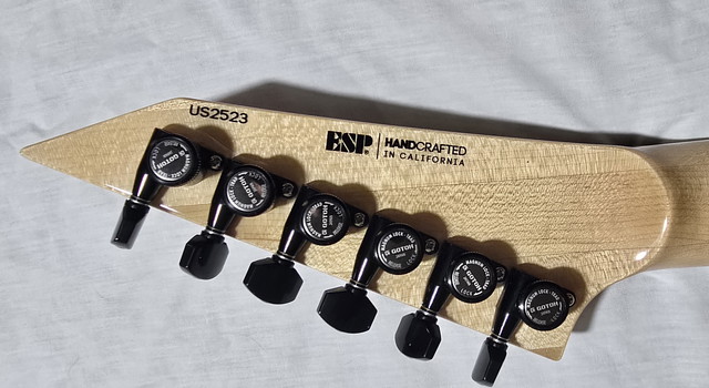 My 2025 ESP USA M-II NT made in california. 5