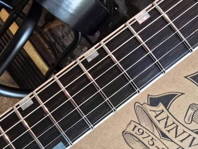 My 2025 ESP USA M-II NT fretboard. 3