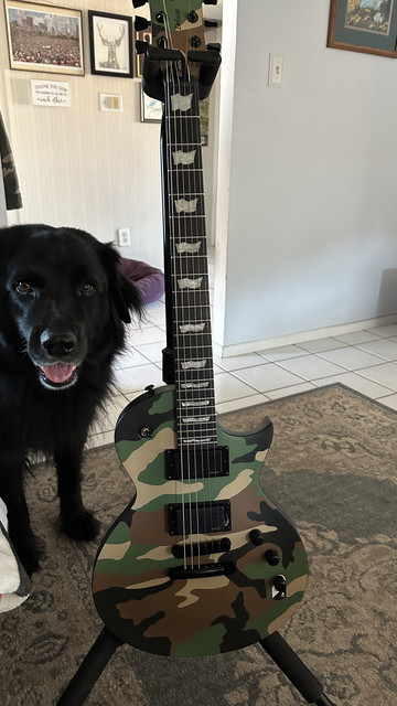 I swear I’d practice more if this was a VIPER