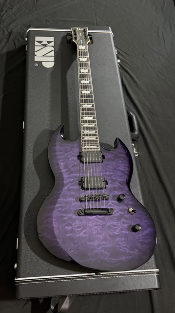 ESP LTD Viper-1000 SEE THRU PURPLE SUNBURST