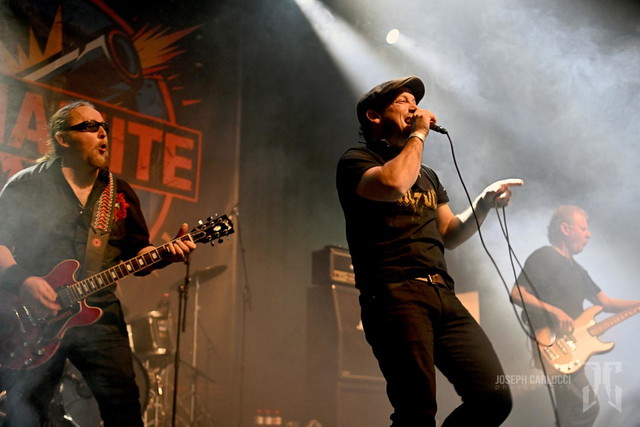 Dynamite Play Acdc 100126  050