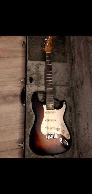 ESP Vintage Plus