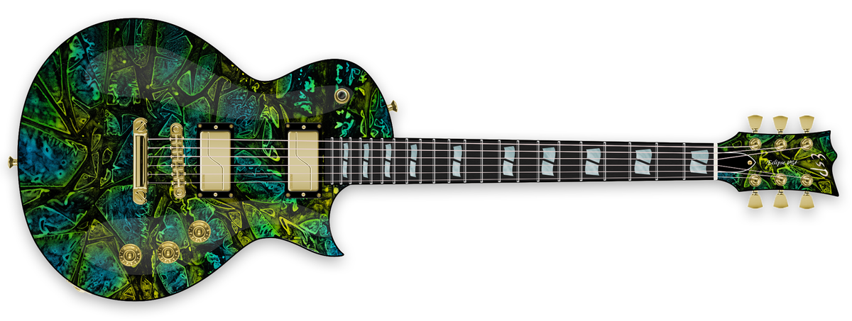 ECLIPSE USA - Gerry m. - The ESP Guitar Company