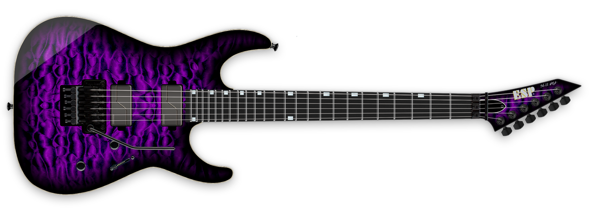 日本全国送料無料商品 特集 M-II Company Guitar ESP The - L. Seth - USA DX 鉄道模型
