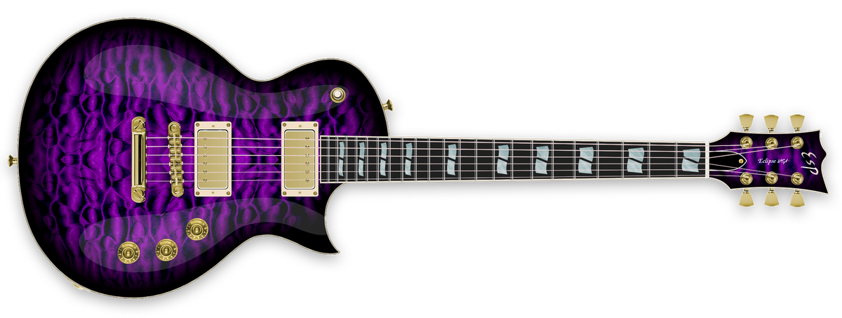 2025年冬【法人向けお歳暮】 ECLIPSE USA - Javier B. - The ESP Guitar Company アウトドア寝具