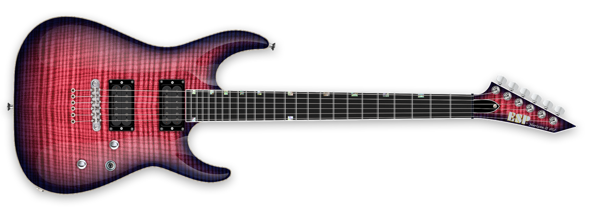 数々の賞を受賞 - W. Vilgot - USA HORIZON-II The Company Guitar ESP ギター