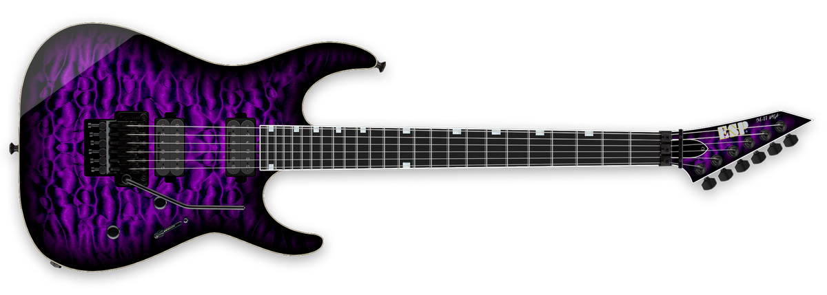 M-II NTB FR USA - Jivago T. - The ESP Guitar Company
