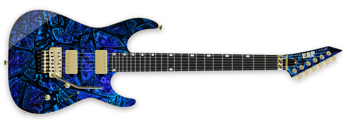 M-II NTB FR USA - Qihui P. - The ESP Guitar Company