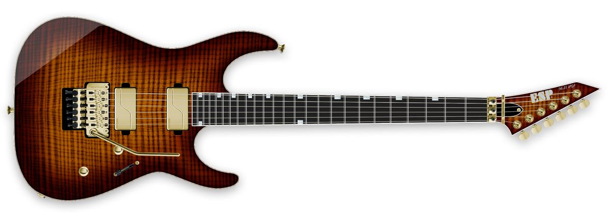 M-II NTB FR USA - Kevin S. - The ESP Guitar Company