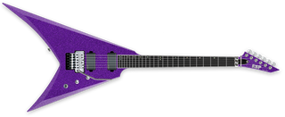 V-II FR USA - Craig L.