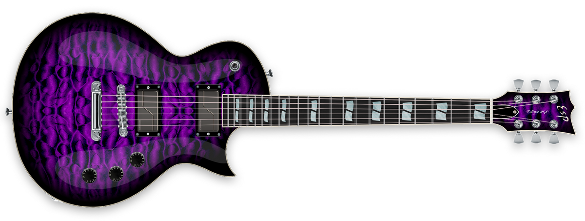 ECLIPSE USA - Brian G. - The ESP Guitar Company