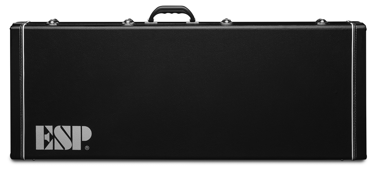 ST-TE GUITAR FORM FIT CASE