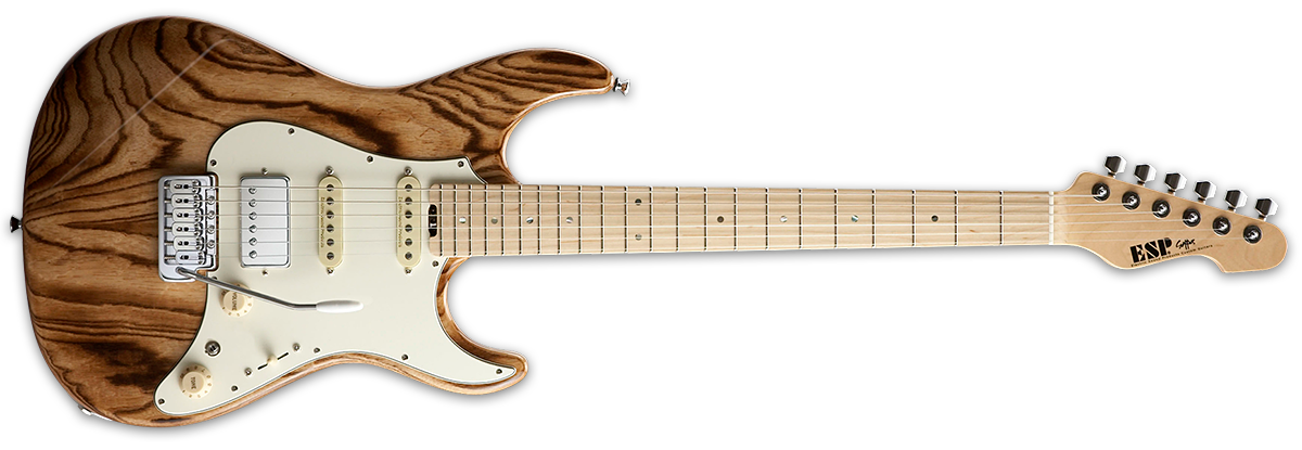 ESP SNAPPER