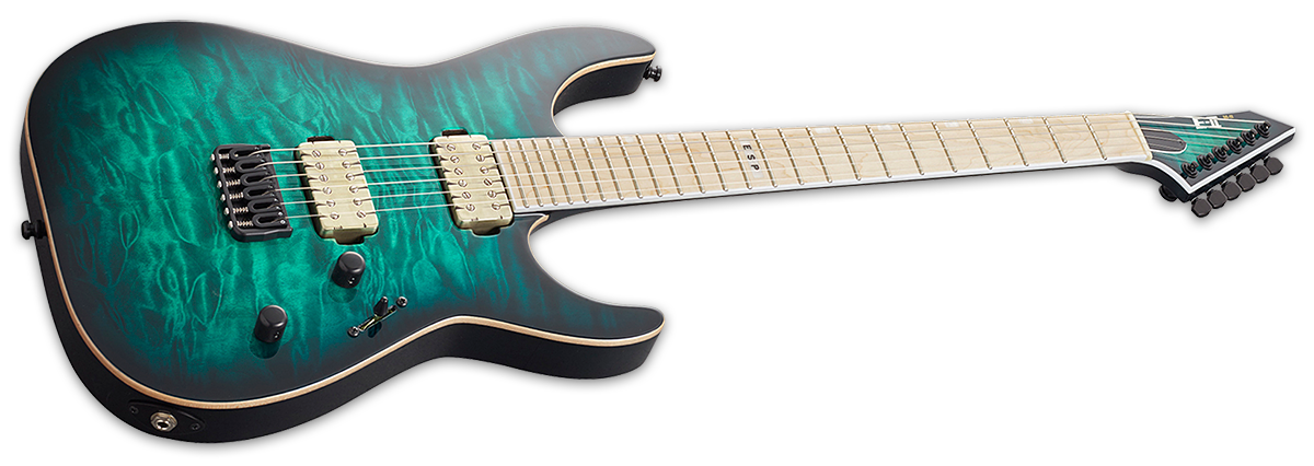 E Ii M Ii Nt The Esp Guitar Company