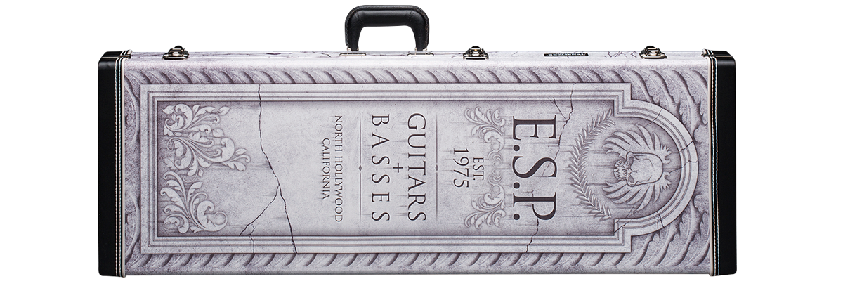 LTD EC-1000S FLUENCE - detail