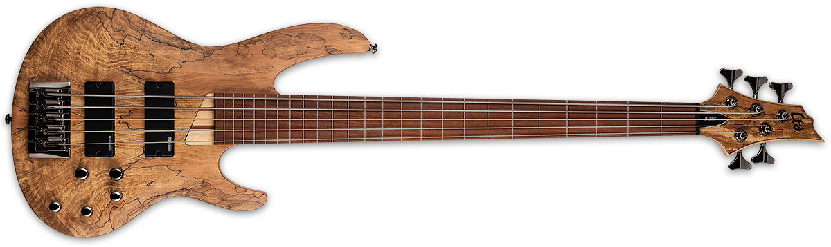 B-205SM FRETLESS