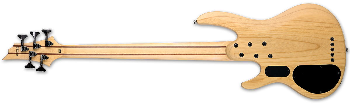 B-205SM - The ESP Guitar Company