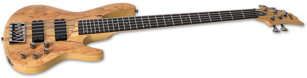 B-205SM - The ESP Guitar Company