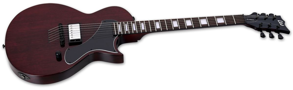 LTD ECー201 Black Stain ソフトケース付 LTD EC-201 [Black Stain
