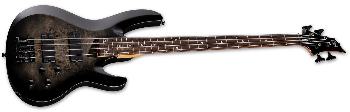 B-204DX - The ESP Guitar Company