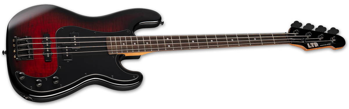 SURVEYOR-204DX - The ESP Guitar Company