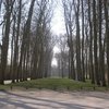 Vitaliy P.