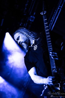 Timo K.