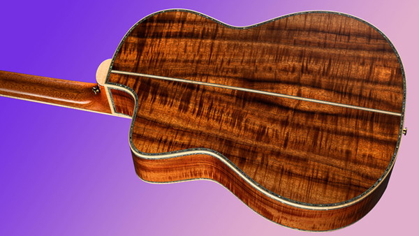 insert alt text here