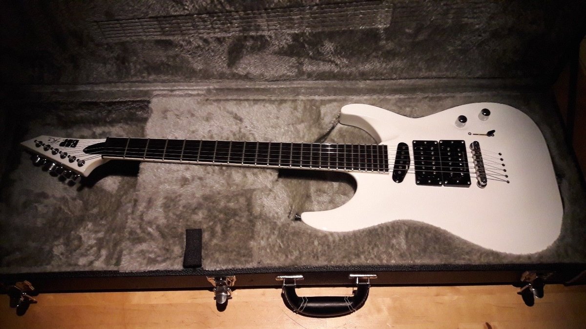WTB white SRC6 horizon Stephen Carpenter guitar The ESP Guitar Company