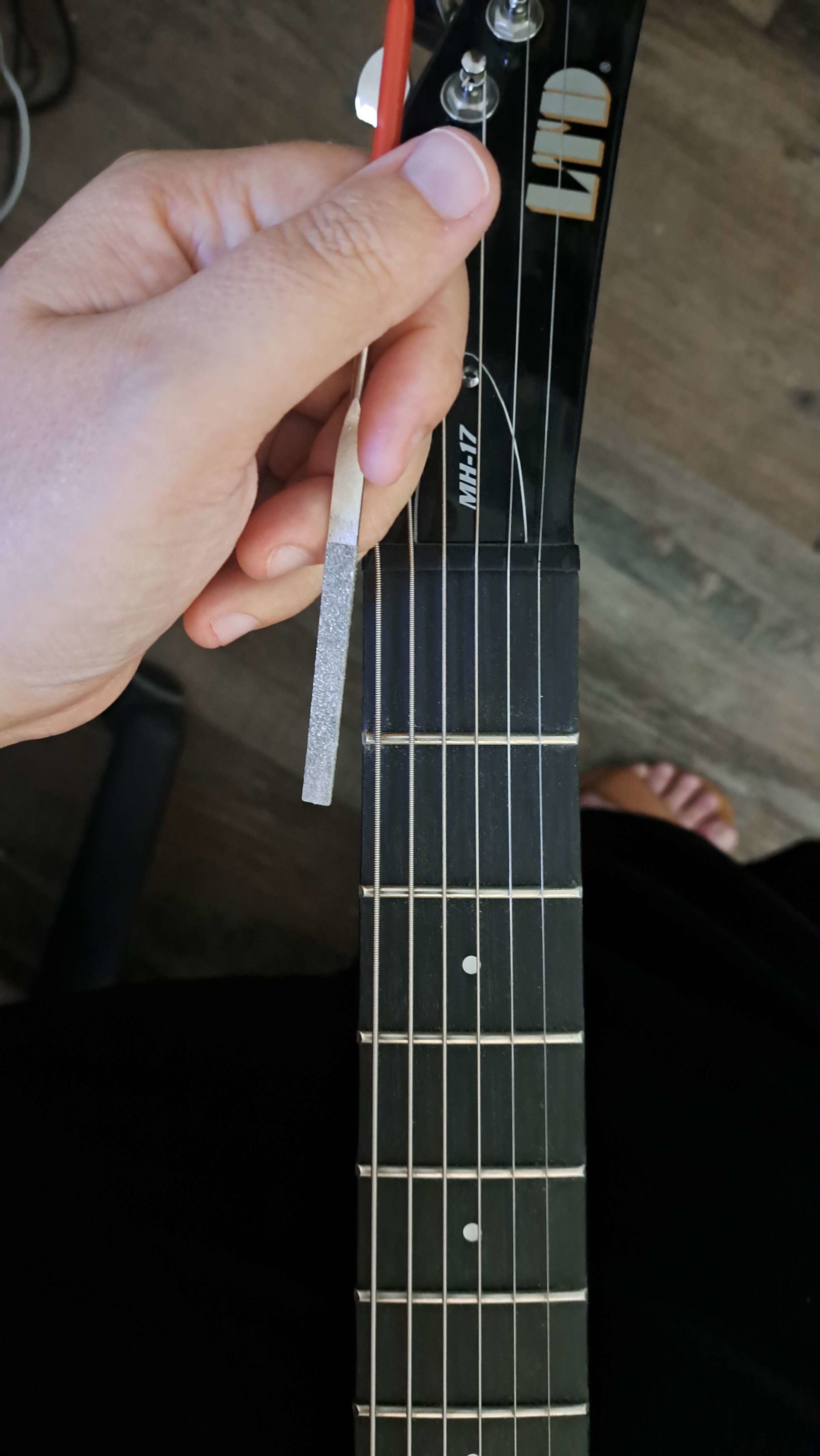 MH-17 - The ESP Guitar Company