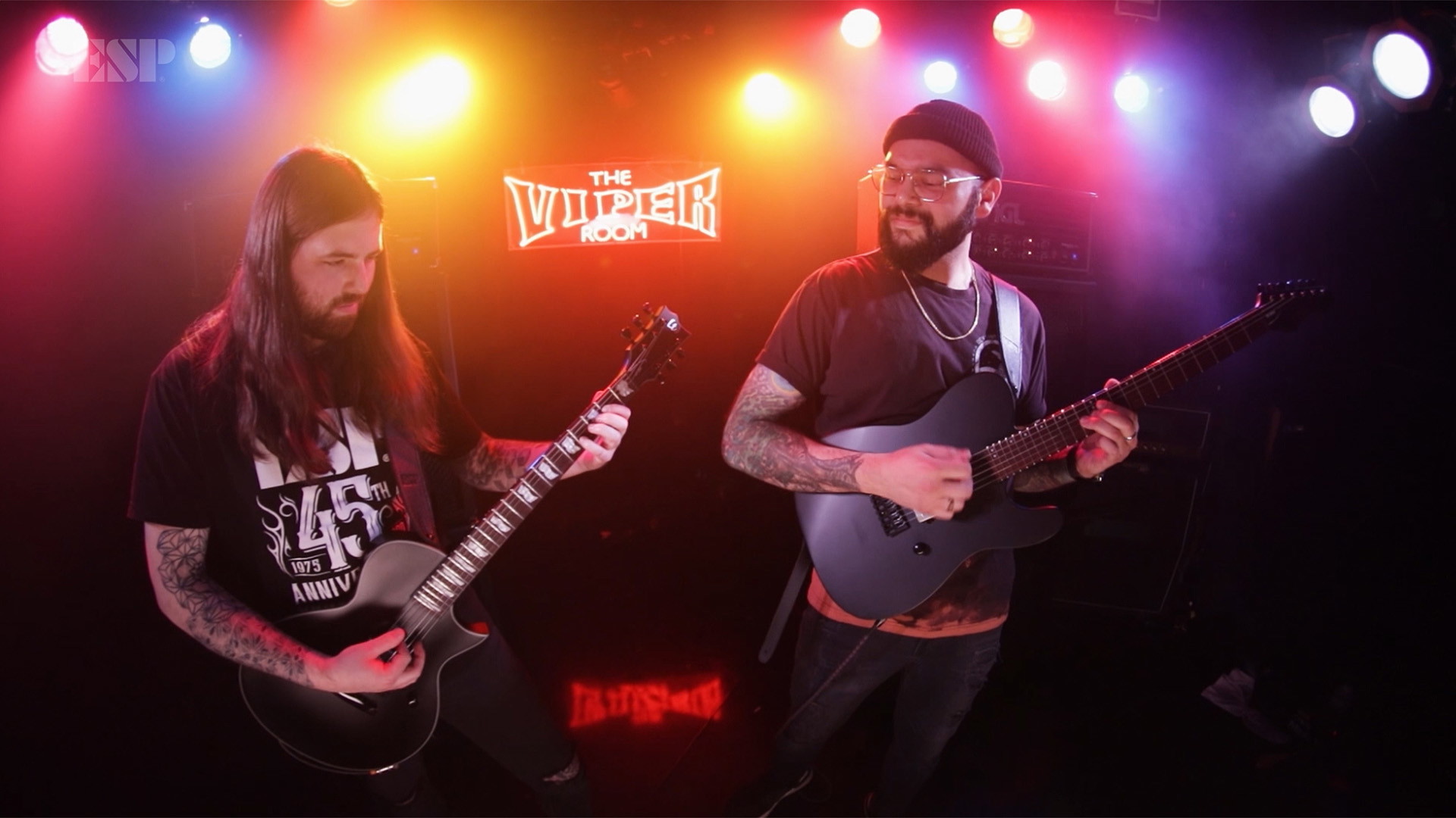 LTD　ECー201　Black Stain　ソフトケース付 LTD ECー201 Black Stain ソフトケース付 LTD ECー201 Black Stain