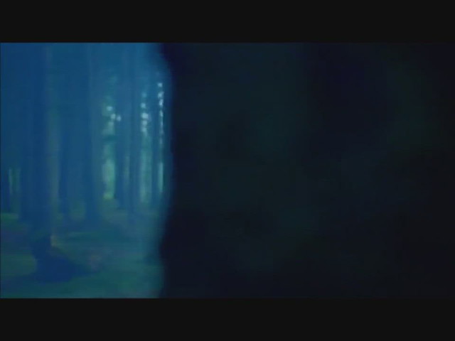 Strange Shadows (Video) - Vasco Gritali