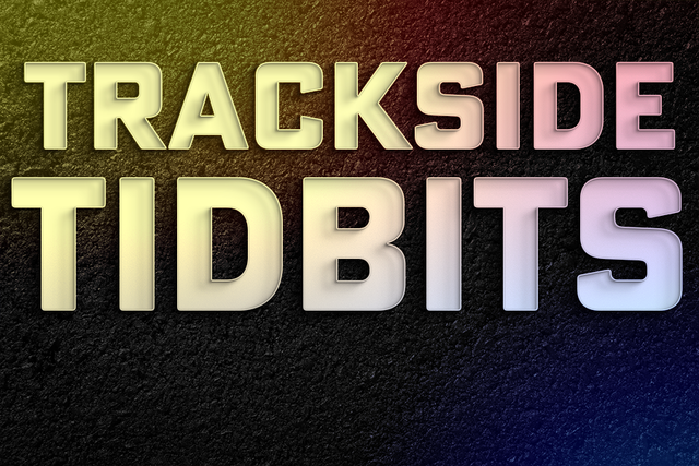 Trackside Tidbits, Debi Domby