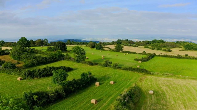 Revolutionizing Farming How ZenaDrone Transforms Agriculture