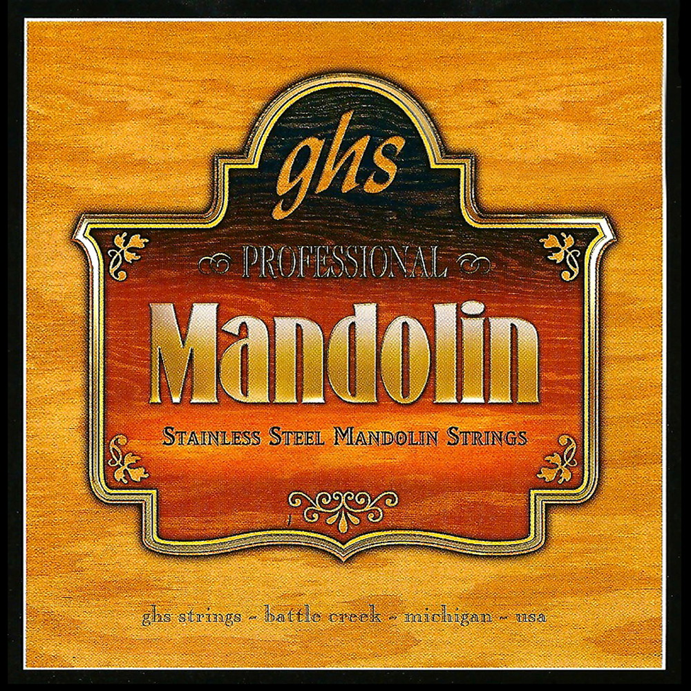 E250 SET - STAINLESS STEEL MANDOLIN - GHS Strings