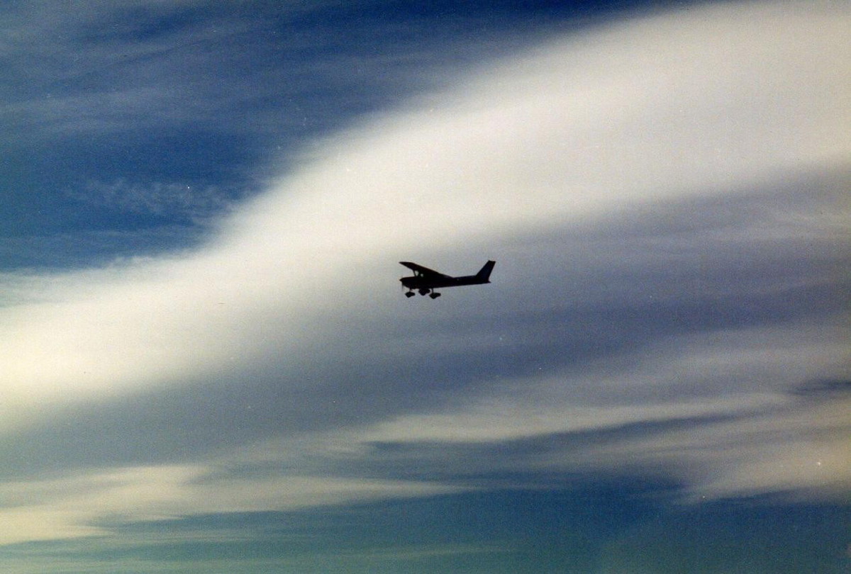 Charlotte Dreams of Winnowing