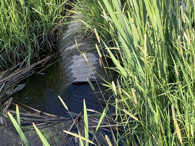 The Culvert's Crushed