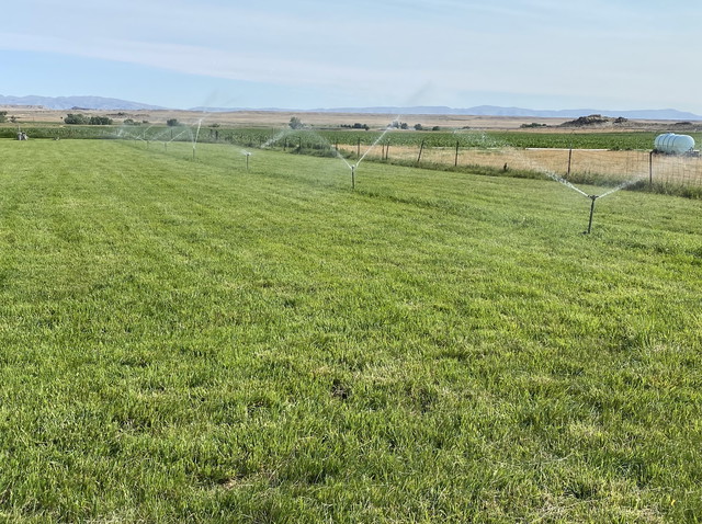 Risers Have Their Own Rhythm