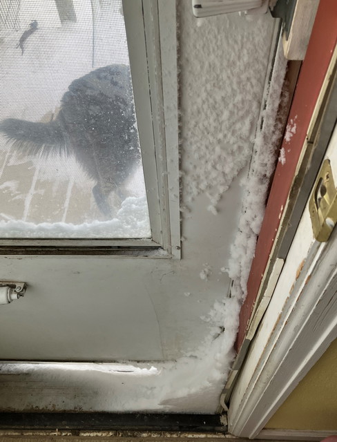 The Back Door At 40 Below