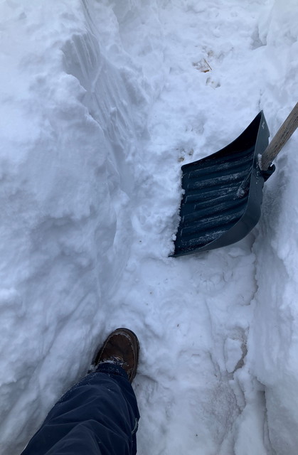 Shoveling, Shoveling, I Suddenly Remember Green