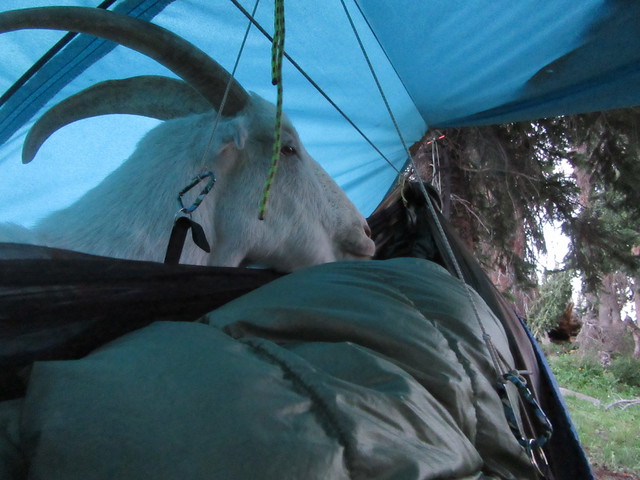 Waiting Out The Storm 