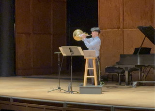 The Cat Naps on the Donkey's Back