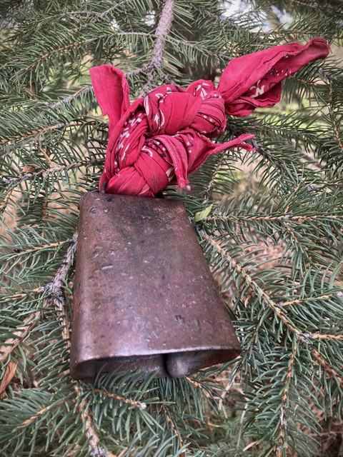 Olivia's Cowbell